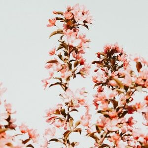 Meet your Posher, Nori!